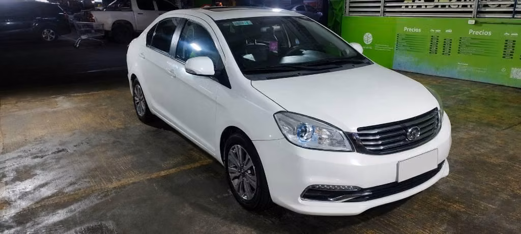 Great well c30 deluxe 2018