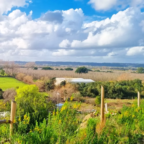 VENDO CAMPO DE 500 HECTAREAS - Imagen 3