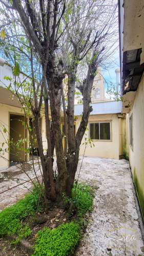 A pasos de la USM: Residencial a Remodelar (180579) - Imagen 9