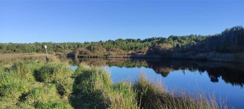 SITIO AP353 A 300 metros del de rio Huicha 5000 m2, roles independientes