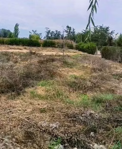 Excelente terreno 3600 m2 VI Región (180923) - Imagen 7