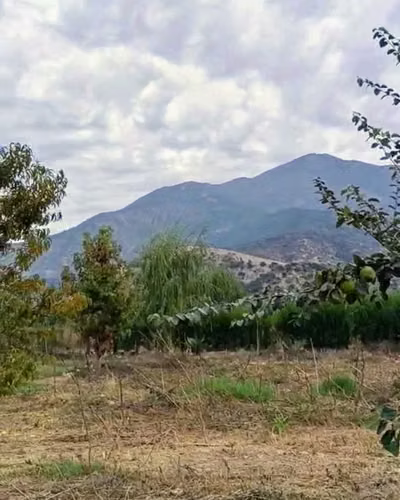 Excelente terreno 3600 m2 VI Región (180923) - Imagen 6