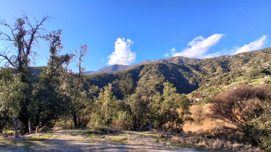 Vida de Campo en Los Bellotos de La Vega