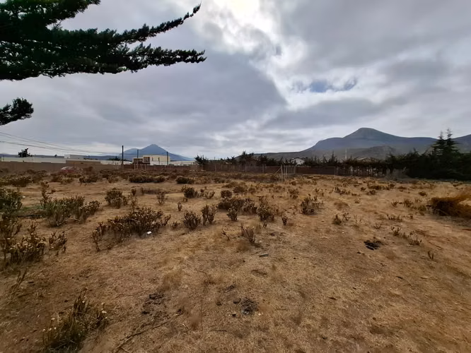 Terreno a pasos de Ruta 5 Pichidangui Sur. Quilimarí. Los Vilos