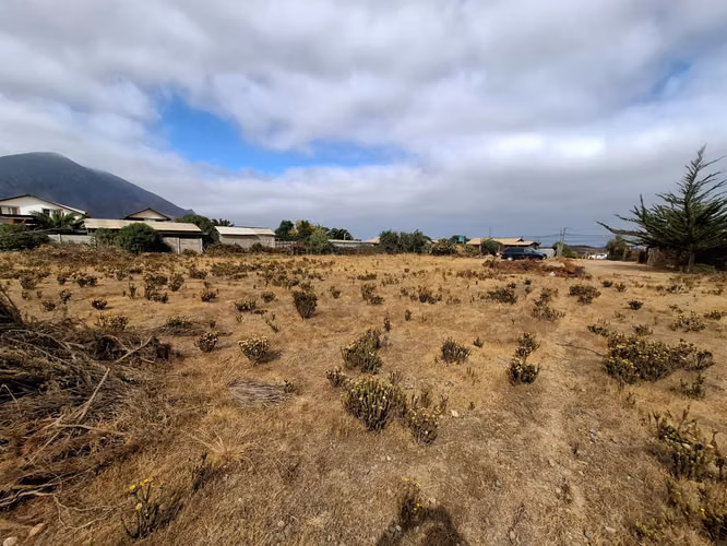 Terreno a pasos de Ruta 5 Pichidangui Sur. Quilimarí. Los Vilos