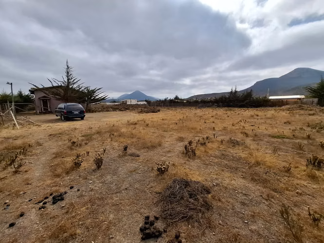Terreno a pasos de Ruta 5 Pichidangui Sur. Quilimarí. Los Vilos
