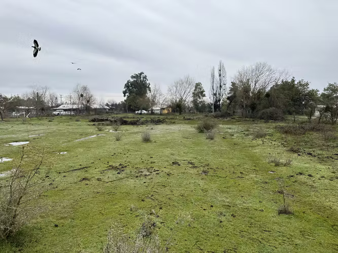 Parcela en San Carlos Buli Oriente 19 mil M2