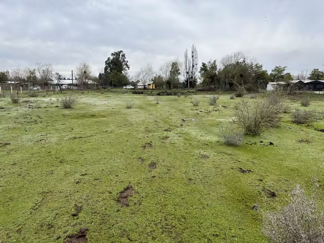 Parcela en San Carlos Buli Oriente 19 mil M2