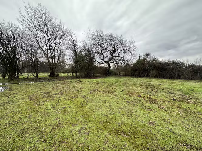 Parcela en San Carlos Buli Oriente 19 mil M2