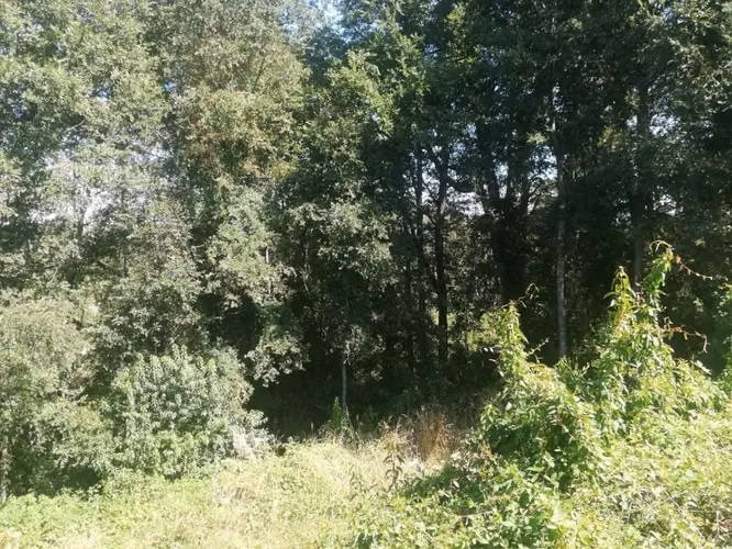 Venta Casa en Parcela, 3 Dormitorios / Ruta U-55 km 12 / Osorno