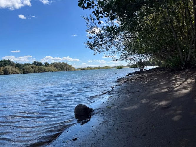 PARCELAS CON AGUA POTABLE,  EMPALME ELECTRICO  Y ACCESO A RÍO BIOBÍO