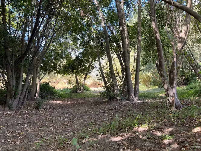 PARCELAS CON AGUA POTABLE,  EMPALME ELECTRICO  Y ACCESO A RÍO BIOBÍO