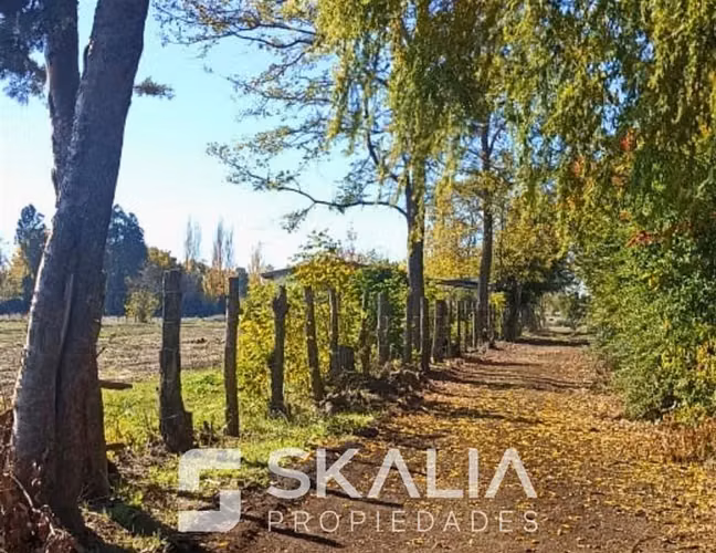 Parcelas 5.000 m2 venta 27 millones Quiriquina, San Ignacio. - Imagen 12
