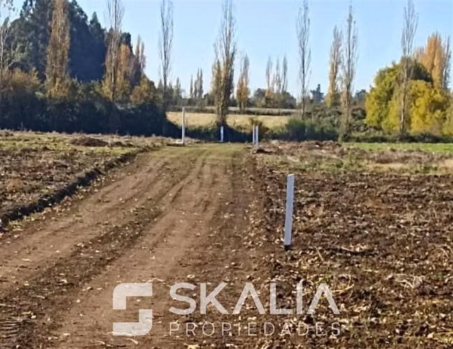 Parcelas 5.000 m2 venta 27 millones Quiriquina, San Ignacio. - Imagen 14