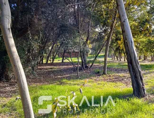 Venta parcela 5000 m2 con casa de 6 dormitorios en Yumbel