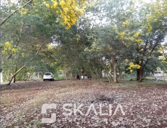 Venta parcela 5000 m2 con casa de 6 dormitorios en Yumbel