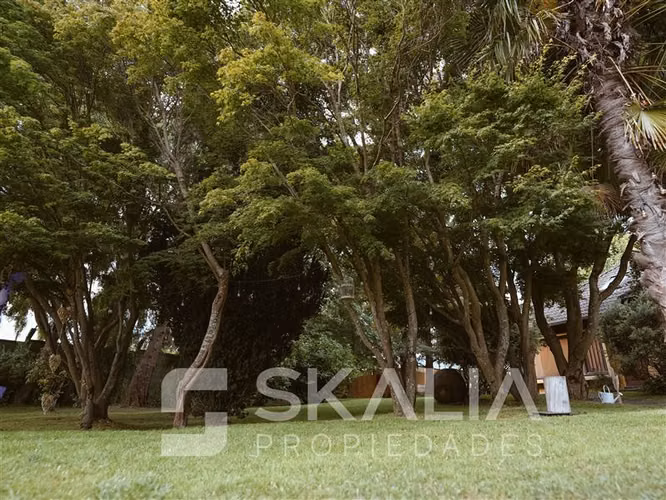 Terreno 9.922 M2 en Chiguayante. Proyecto Inmobiliario. - Imagen 10
