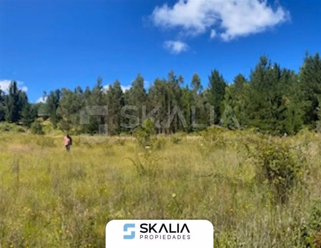 Venta Parcela 2.700 m2 sector Lucay a 45 Km de Concepcion.