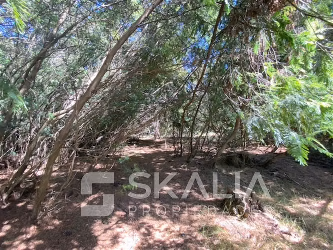 Venta Parcela 2.700 m2 sector Lucay a 45 Km de Concepcion.