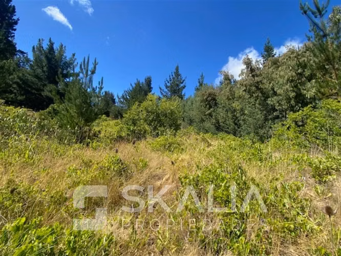 Venta Parcela 2.700 m2 sector Lucay a 45 Km de Concepcion.