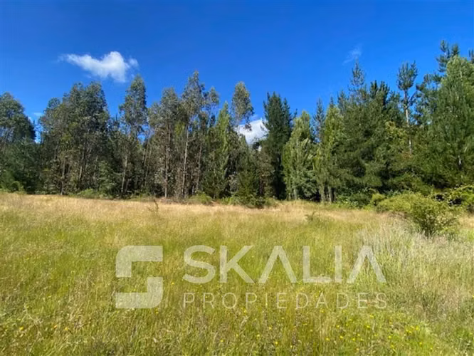 Venta Parcela 2.700 m2 sector Lucay a 45 Km de Concepcion.