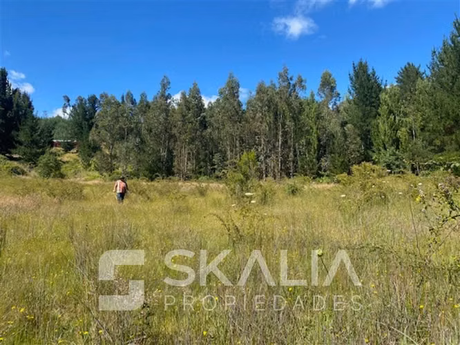 Venta Parcela 2.700 m2 sector Lucay a 45 Km de Concepcion.