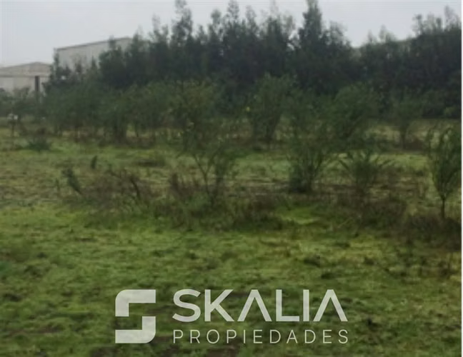 VENTA TERRENO 14.890 M2, INDUSTRIAL CARRIEL NORTE TALCAHUANO - Imagen 9