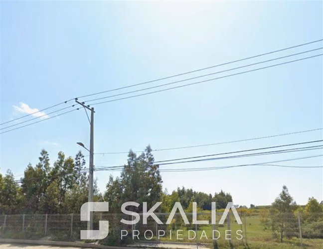 VENTA TERRENO 14.890 M2, INDUSTRIAL CARRIEL NORTE TALCAHUANO - Imagen 5