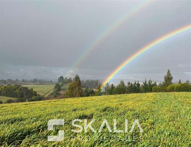 Venta Parcelas 5.000 m Temuco Proyecto Parque Cumbres - Imagen 4