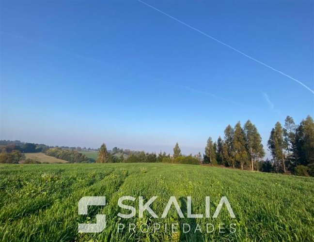 Venta Parcelas 5.000 m Temuco Proyecto Parque Cumbres - Imagen 6