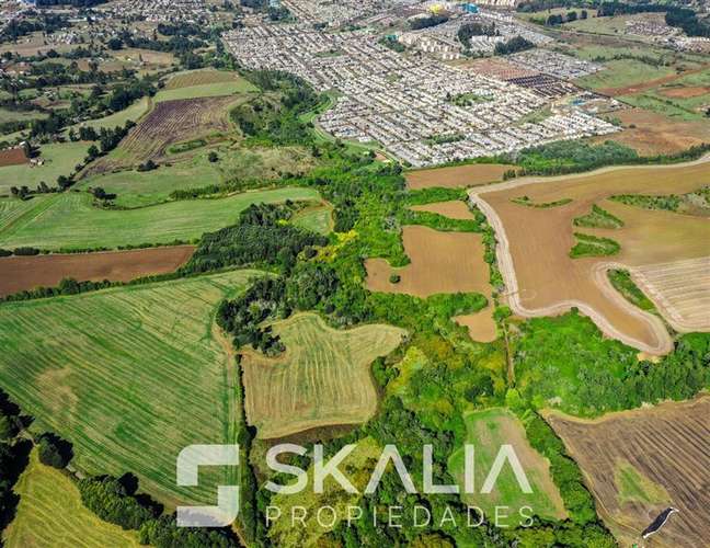 Venta Parcelas 5.000 m Temuco Proyecto Parque Cumbres - Imagen 5