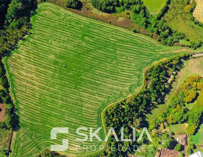 Venta Parcelas 5.000 m Temuco Proyecto Parque Cumbres - Imagen 7