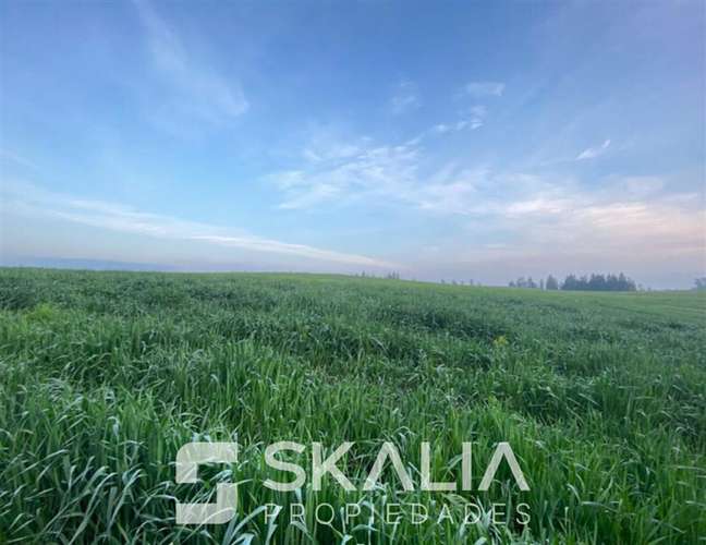 Venta Parcelas 5.000 m Temuco Proyecto Parque Cumbres - Imagen 8