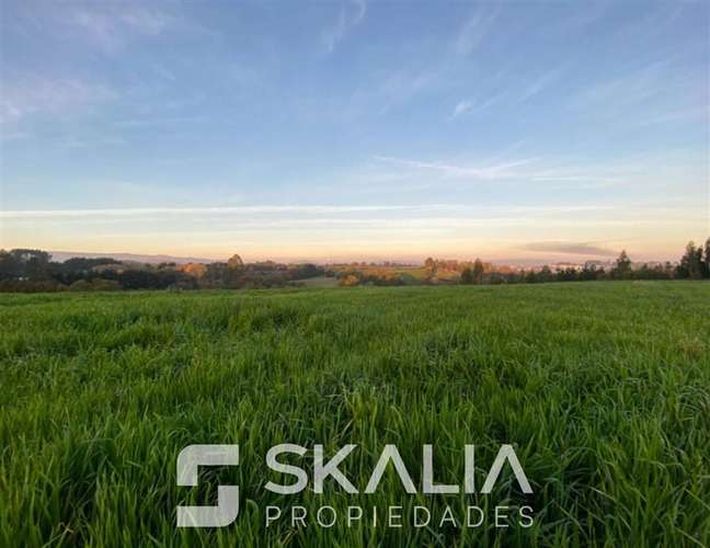 Venta Parcelas 5.000 m Temuco Proyecto Parque Cumbres - Imagen 13