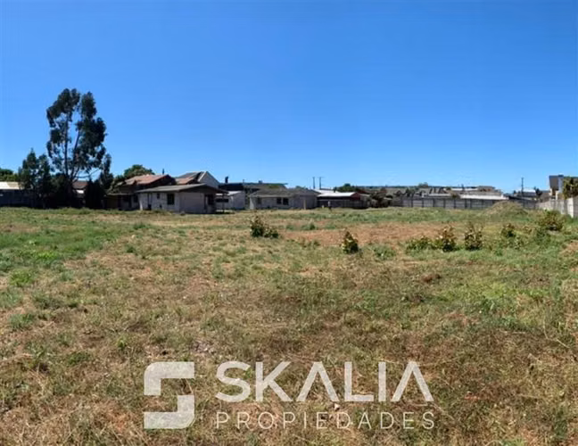 VENTA terreno 4.983 m2 en San Pedro de la Paz inversión - Imagen 3
