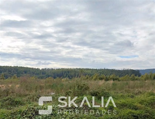 SITIO EN VENTA 27.300 m2 AV. ANDALIÉN SUR, CONCEPCIÓN - Imagen 8