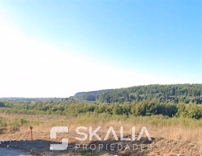 TERRENO EN VENTA 27.300 m2 AV. ANDALIÉN SUR CONCEPCIÓN - Imagen 9