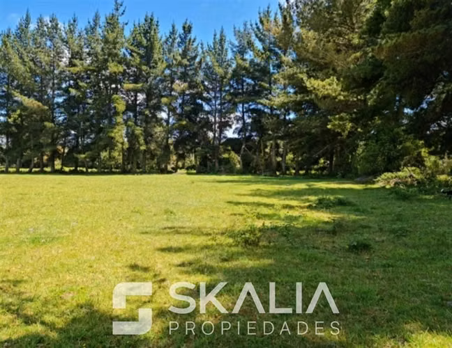 Venta parcelas 5.000 m Proyecto La Isla Región de Los Lagos - Imagen 4