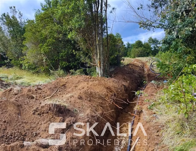 Venta parcelas 5.000 m Proyecto La Isla Región de Los Lagos - Imagen 10