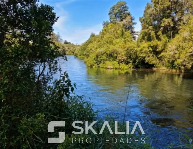 Venta parcelas 5.000 m Proyecto La Isla Región de Los Lagos - Imagen 5