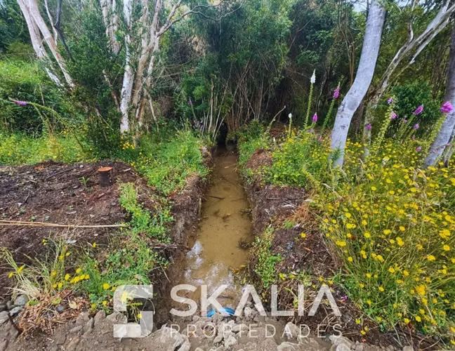 Venta parcelas 5.000 m Proyecto La Isla Región de Los Lagos - Imagen 13