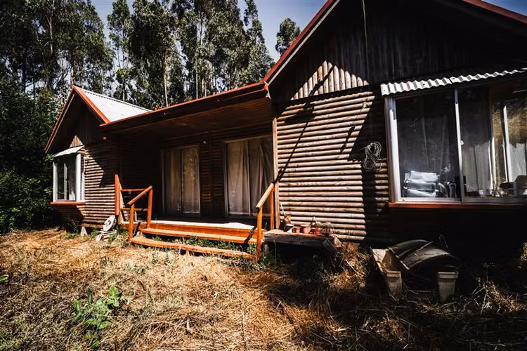 Venta 3 casas en Altos de Coliumo Tomé terreno 4.750 m2