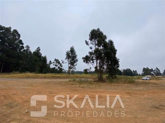 Sitio en arriendo en San Pedro de la Paz