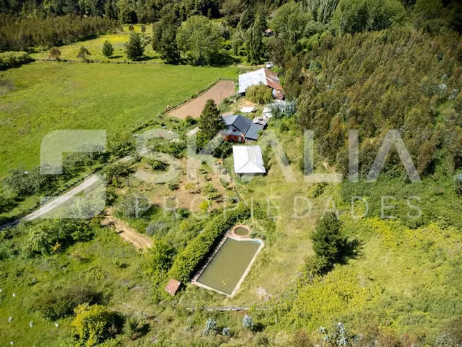 Campo en venta a 2,5 Km. de Hualqui. 34 hectareas.