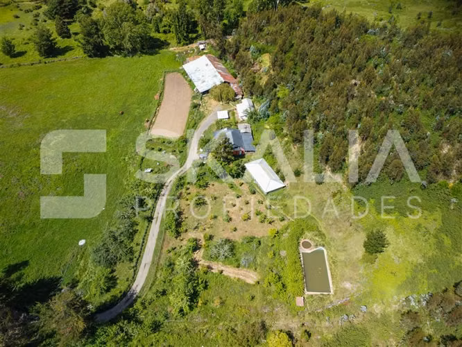 Campo en venta a 2,5 Km. de Hualqui. 34 hectareas.