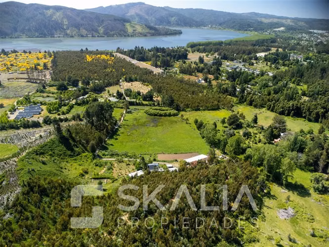 Campo en venta a 2,5 Km. de Hualqui. 34 hectareas.