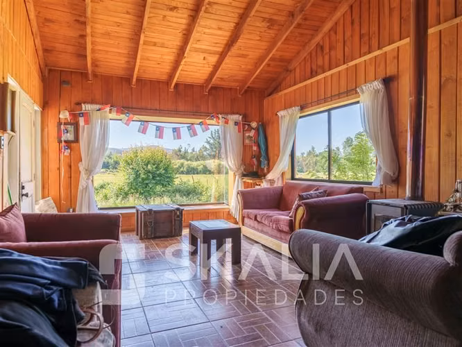 Campo en venta a 2,5 Km. de Hualqui. 34 hectareas.