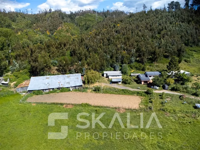 Campo en venta a 2,5 Km. de Hualqui. 34 hectareas.