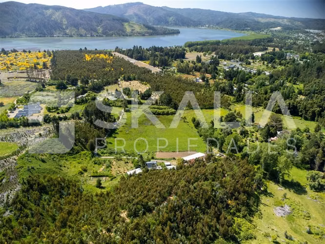 Campo en venta a 2,5 Km. de Hualqui. 34 hectareas.