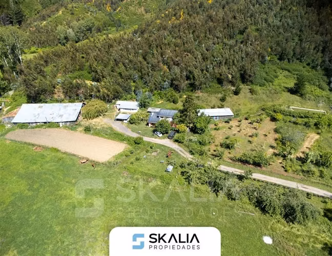 Campo en venta 34 hectareas. A solo 2,5 Km de Hualqui.